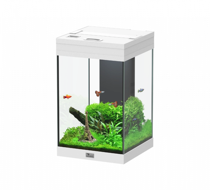 Aquarium AquaTower 43 White