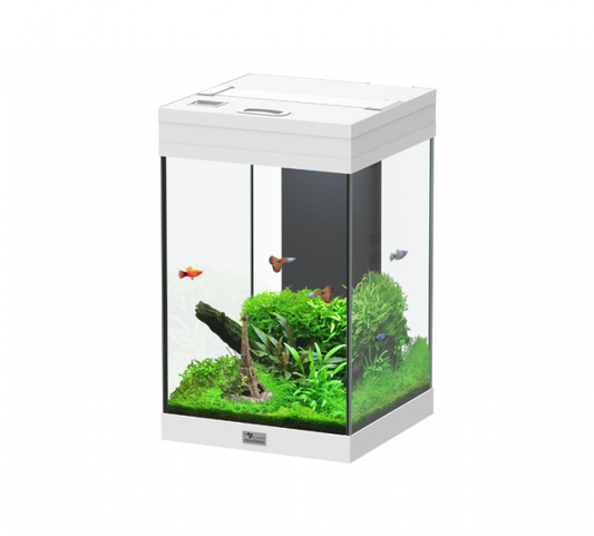 Aquarium AquaTower 43 White