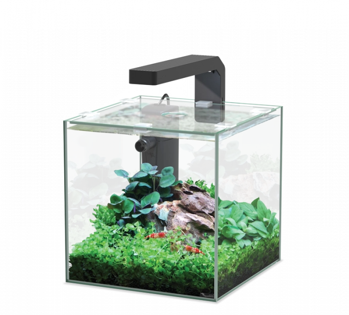 Aquarium KUBUS 5ltr (Incl Equipment)