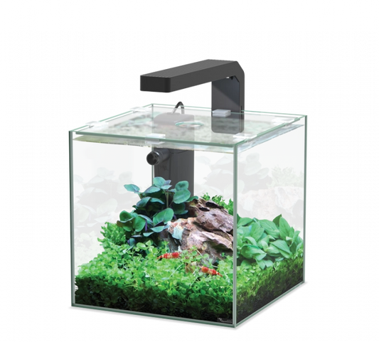 Aquarium KUBUS 5ltr (Incl Equipment)