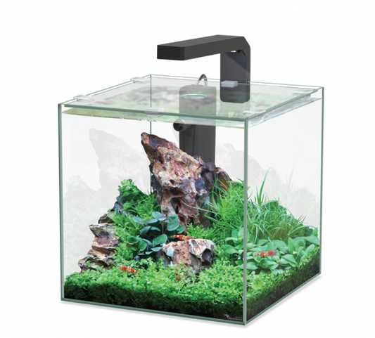 Aquarium KUBUS 10ltr (Incl Equipment)