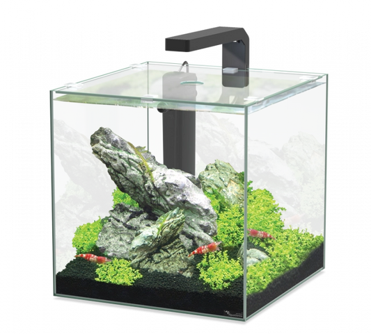 Aquarium KUBUS 15ltr (Incl Equipment)