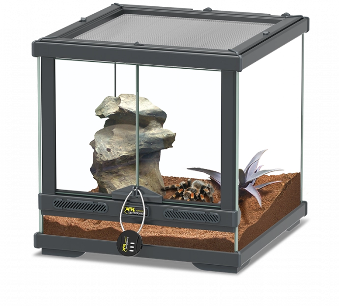 Terrarium Smartline 2V 30x30x30 Anthracite