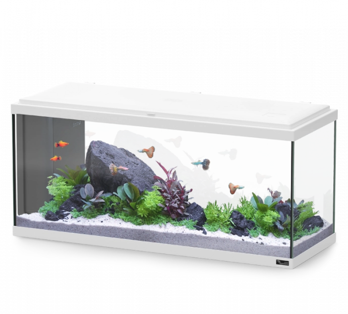 Aquarium Explorer Amsterdam 80 White W/Biobox