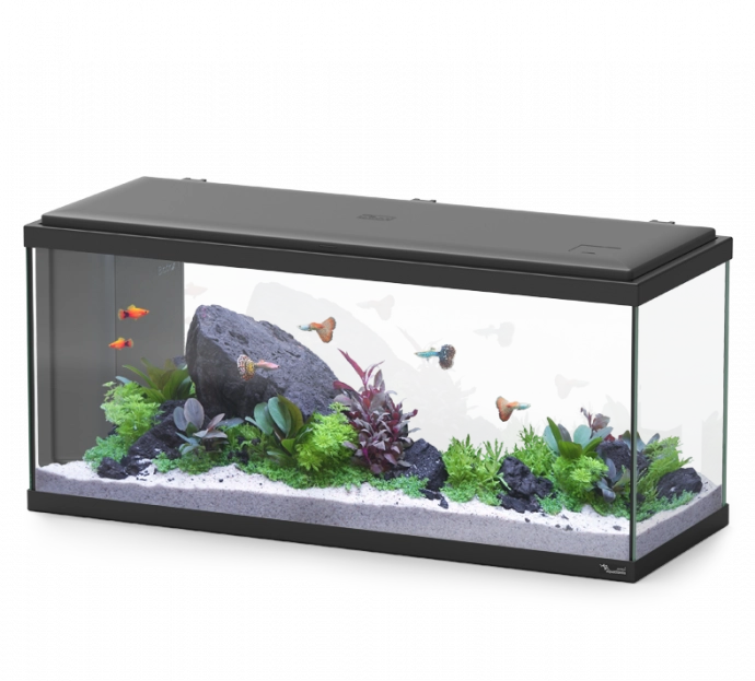 Aquarium Explorer Amsterdam 80 Black W/Biobox