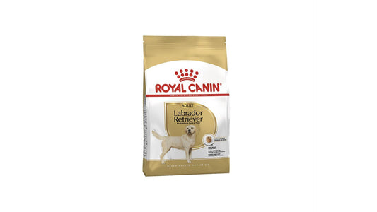 Royal Canin Breed Labrador