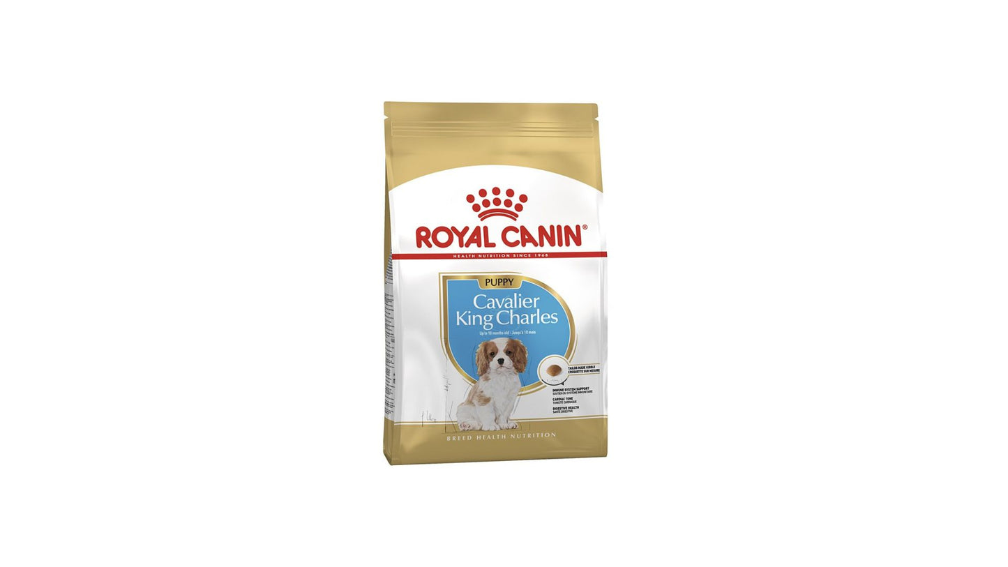 Royal Canin Cavallier King Charles Puppy