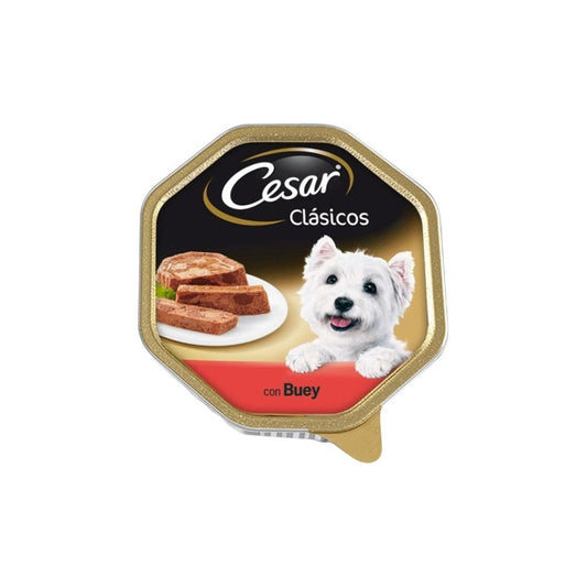 Ceaser Dog Foil Beef