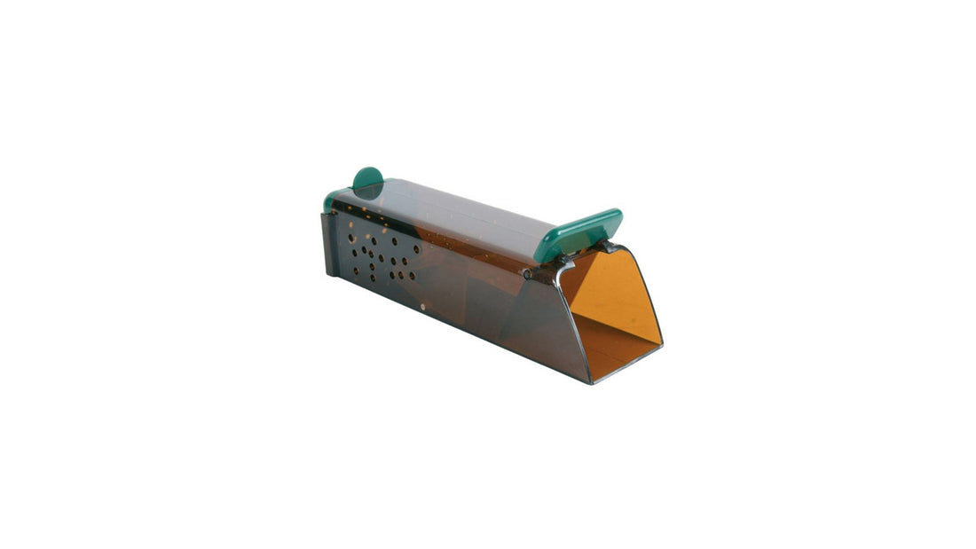 Live Mouse Trap