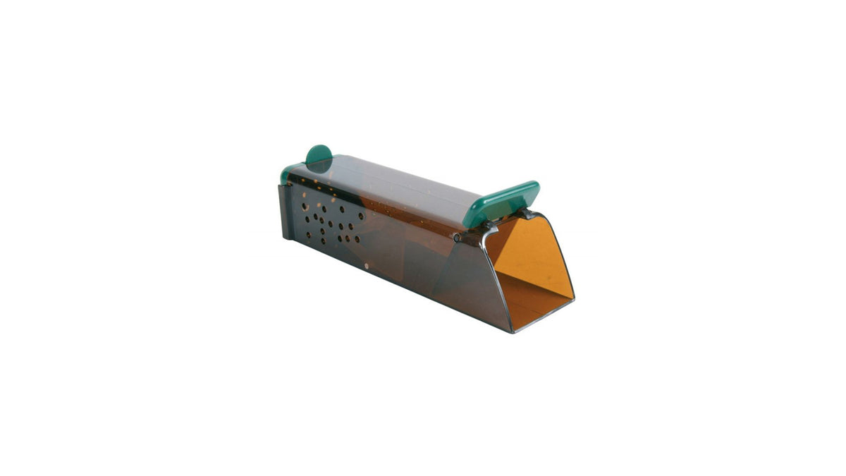 Live Mouse Trap
