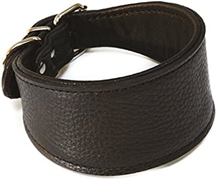 Leather Collar Greyhound