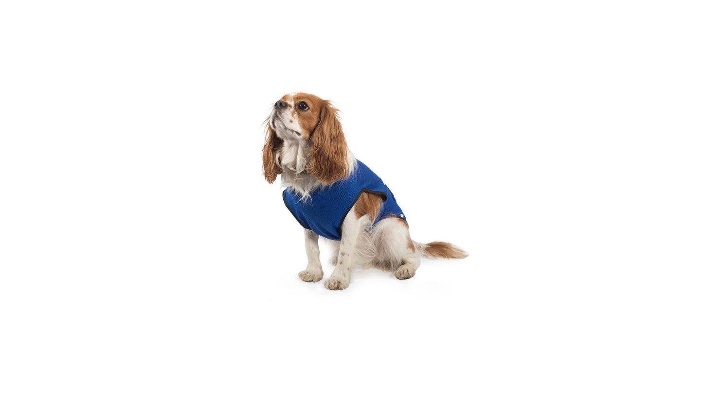 Pet Cooling Vest