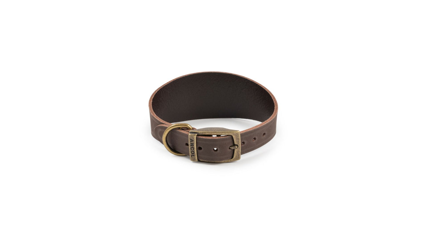 Timberwolf Greyhound Collar