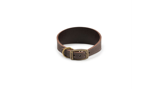 Timberwolf Whippet Collar