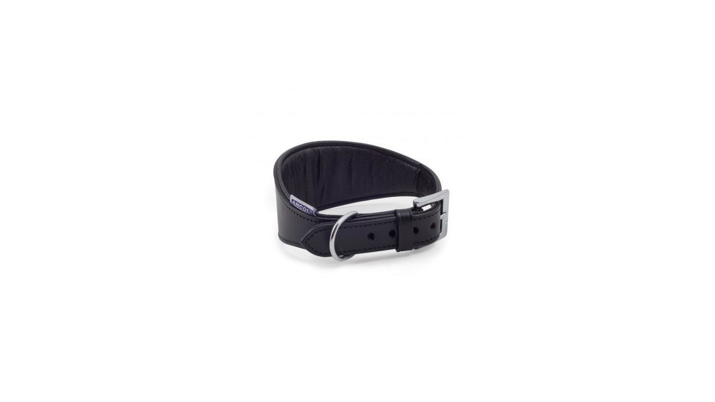 Whippet Padded Collar