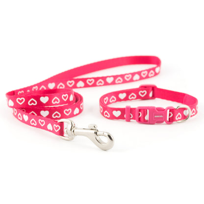 Small Bite Collar + Lead Set