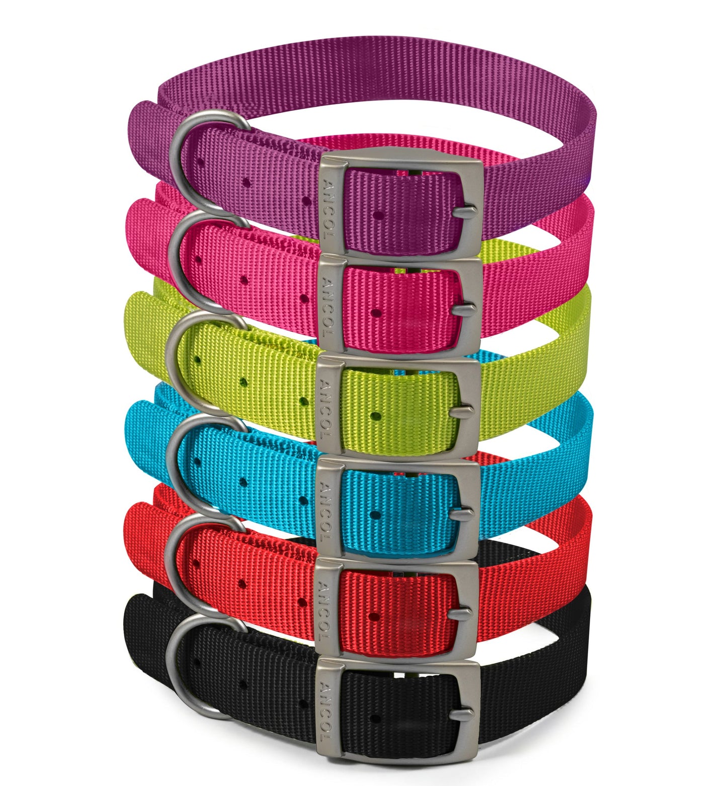 Nylon Dog Collar