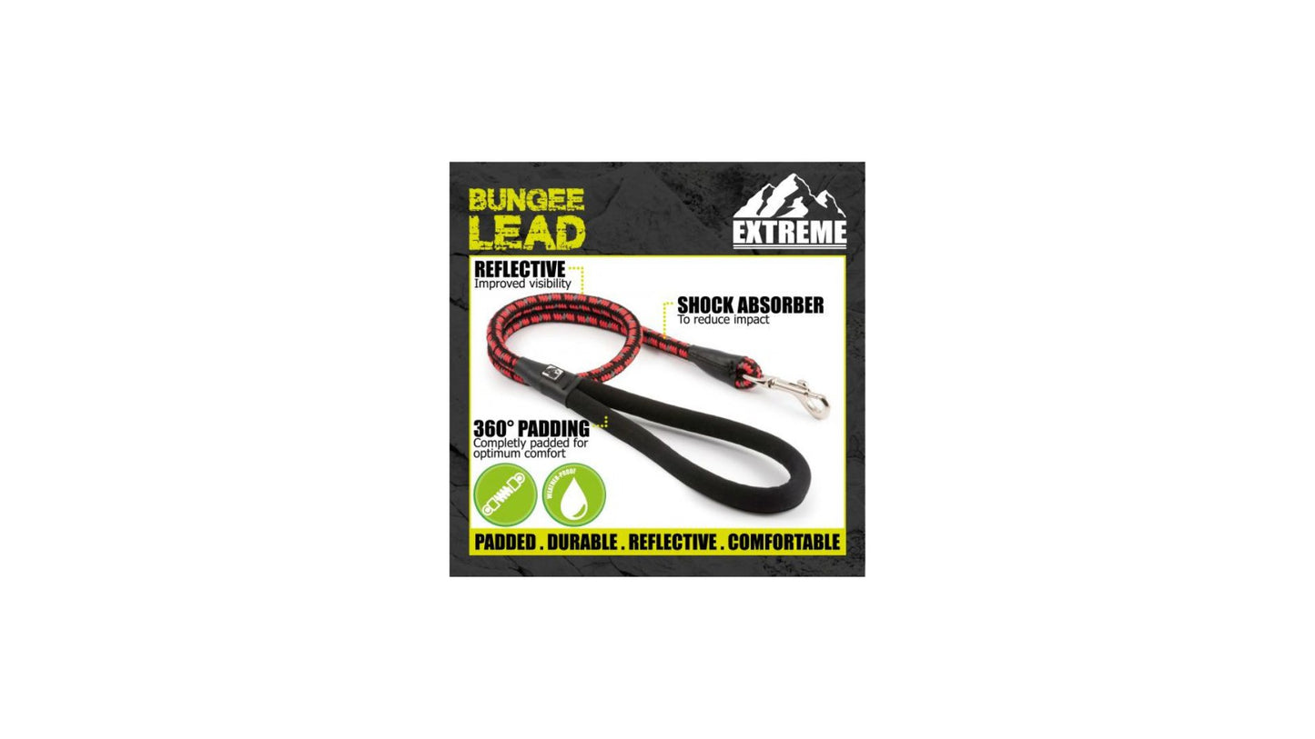 Extreme Shock Absorbtion Rope Lead