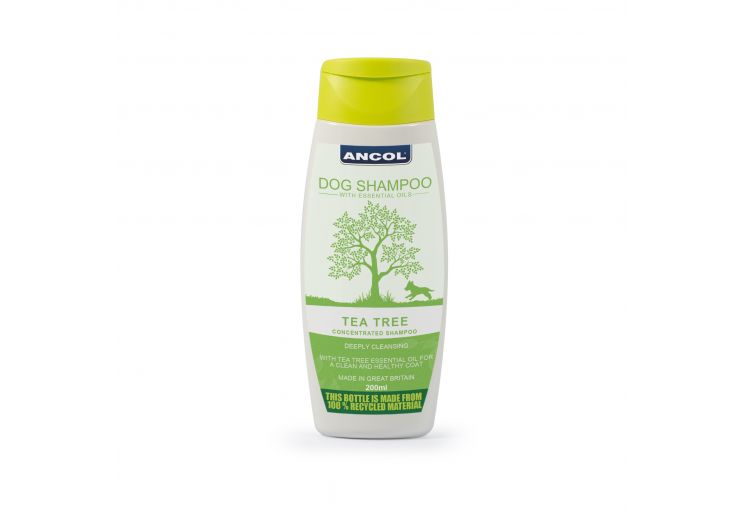 Tea Tree Shampoo