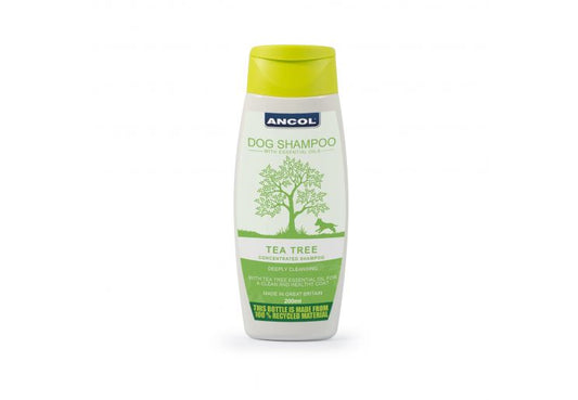 Tea Tree Shampoo