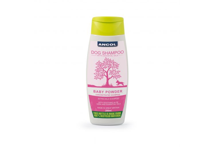 BB Shampoo