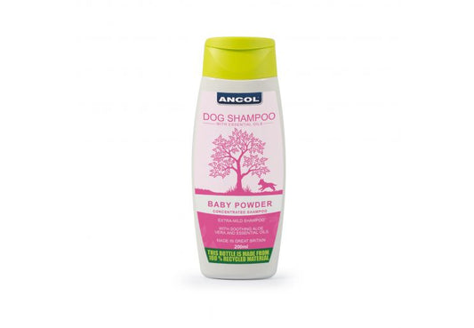 BB Shampoo