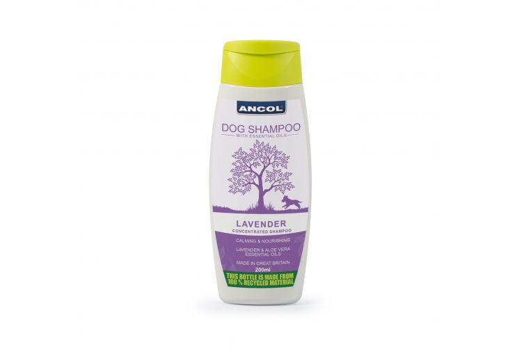 Lavender Shampoo