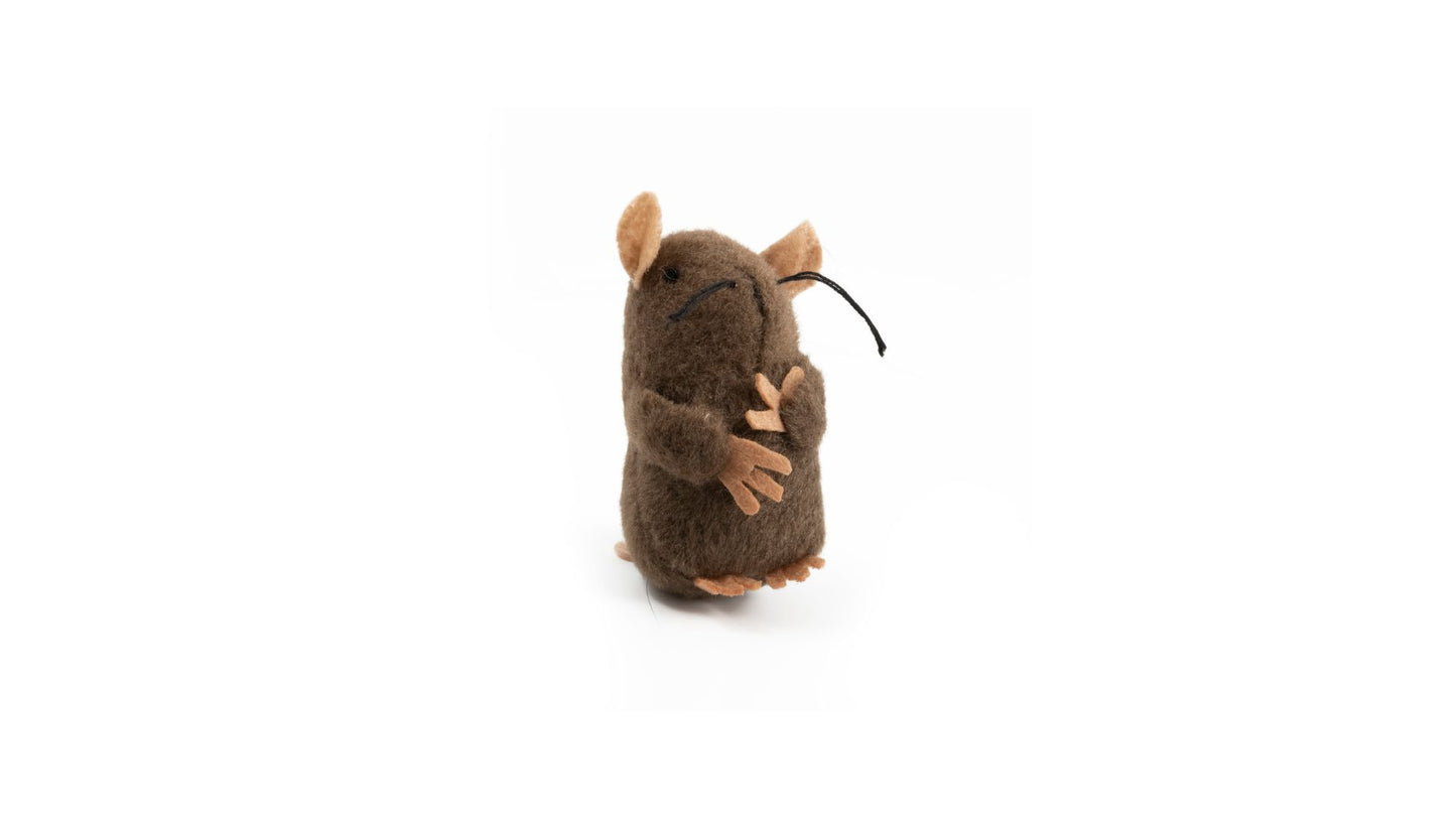 Squeeky Mouse