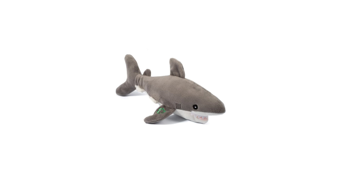 Shark