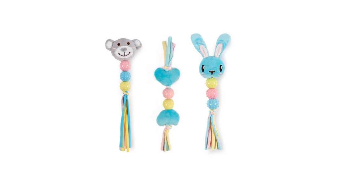 Teether Pacl