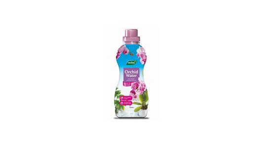 Westland  Orchid Water