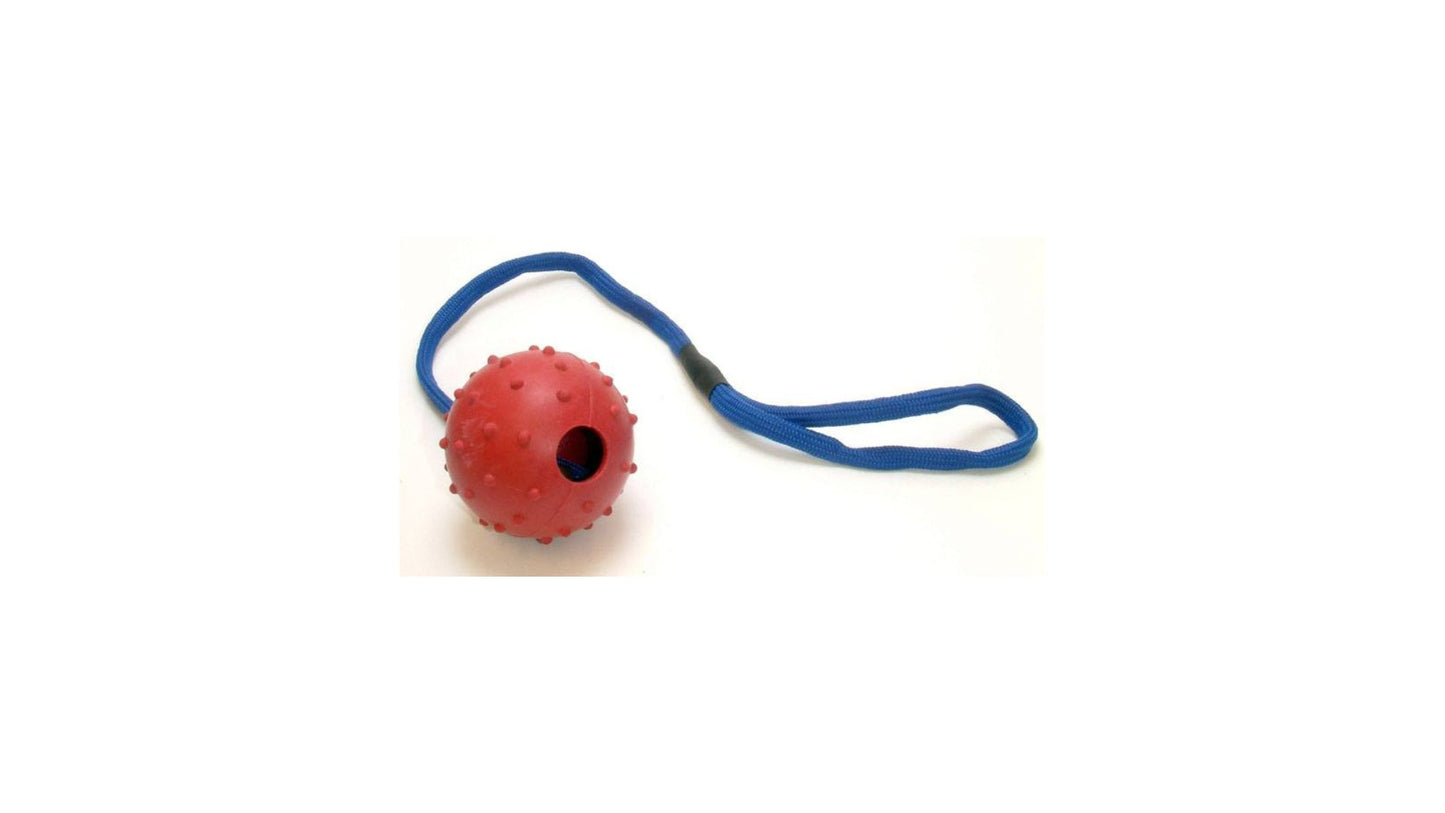 Ball and Rope Toy