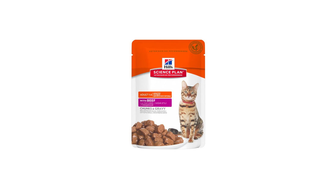 Science Plan Adult Cat Beef