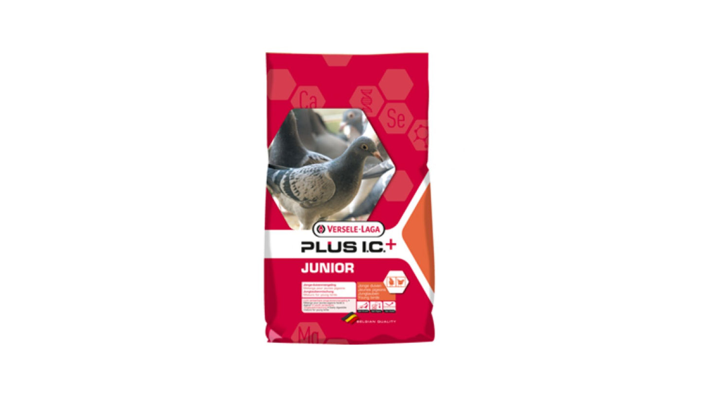 Junior Plus IC