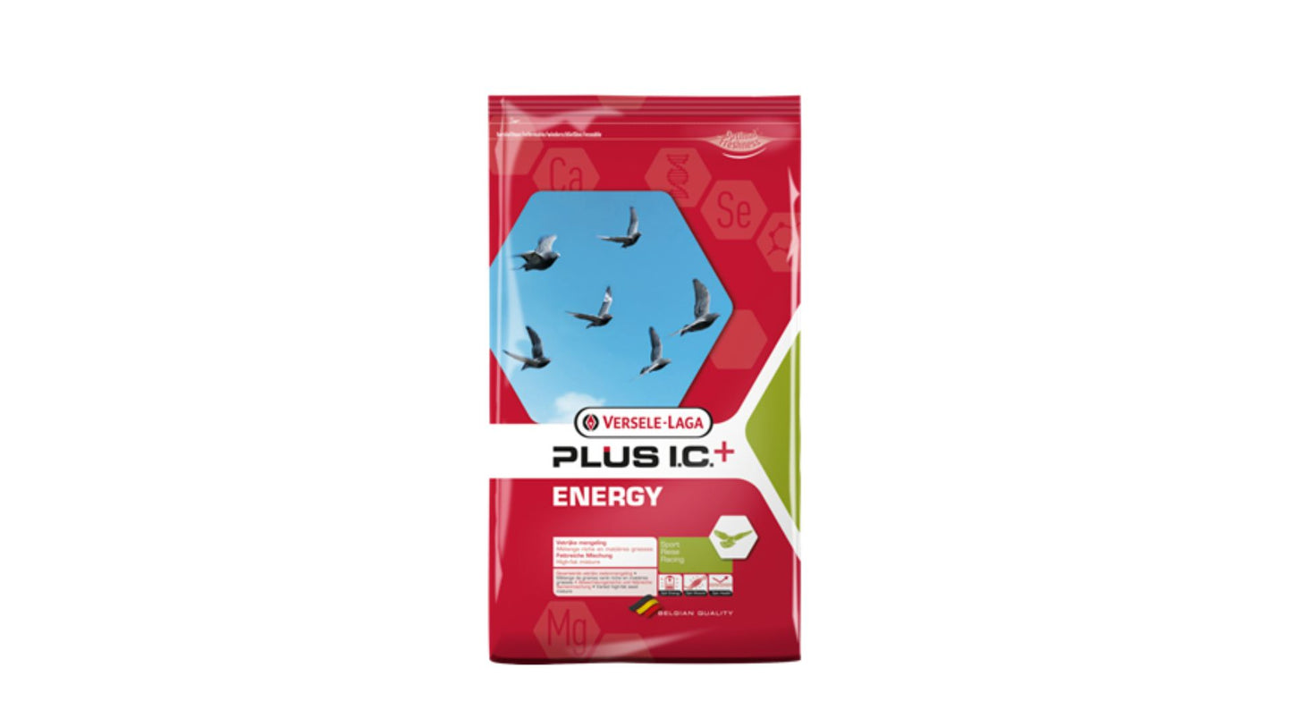 Energy Plus IC