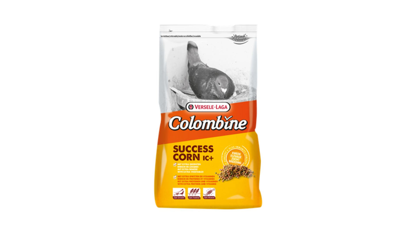 Success Corn IC