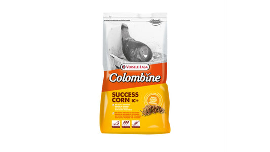 Success Corn IC