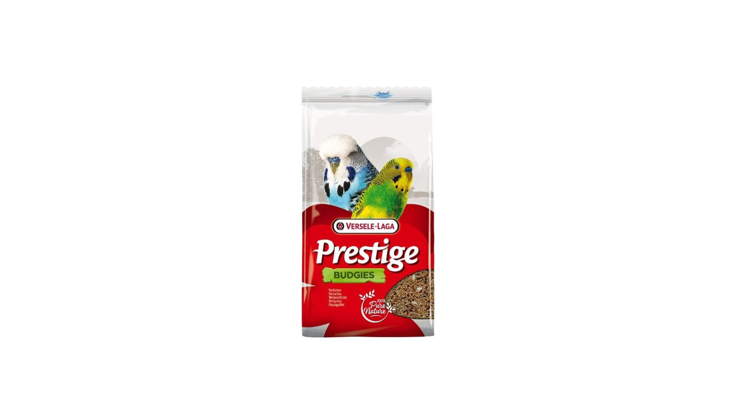 Budgie Prestige