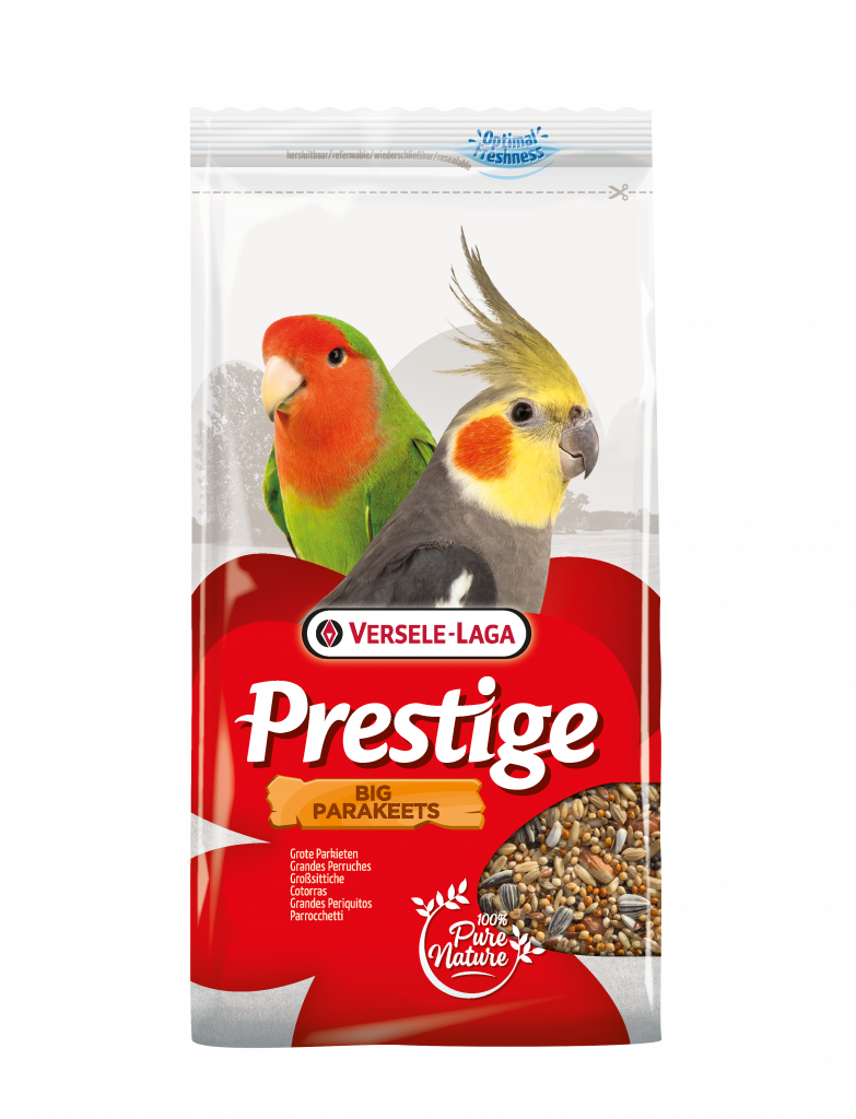 Big Parakeet Prestige