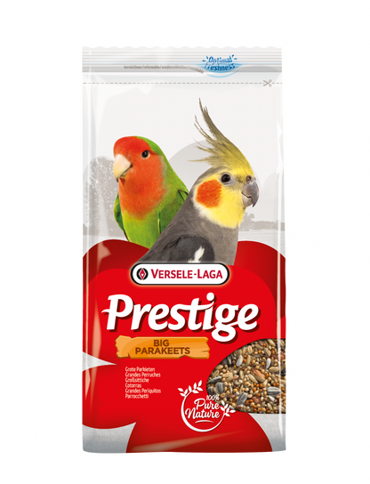 Big Parakeet Prestige