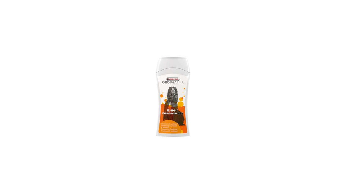 2 IN 1 SHAMPOO  250ML