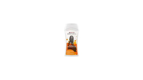 2 IN 1 SHAMPOO  250ML