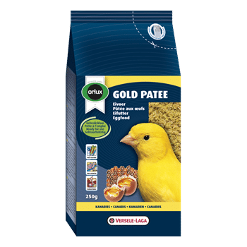 Gold Pate Yellow