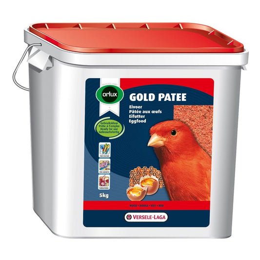 Gold Pate Red