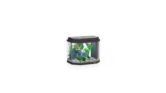 Aquarium Calypso 40 Black