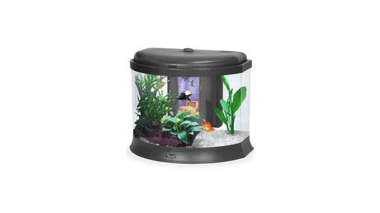 Aquarium AquaTresor Black