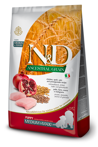 N&D Ancestral Grain Medium & Maxi Puppy Food