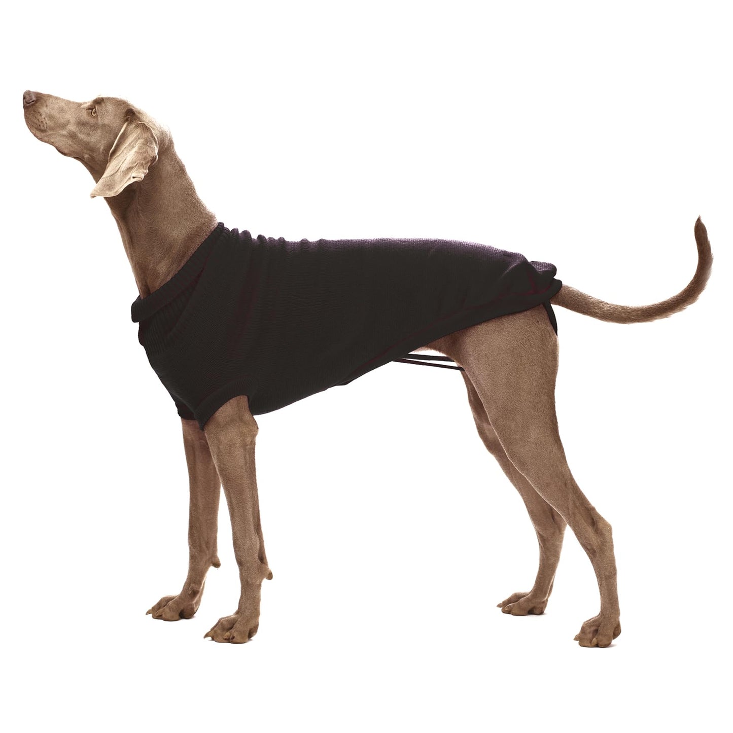 Turtleneck Black Stockholm