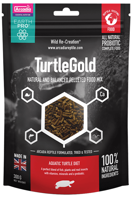 Turtle Gold