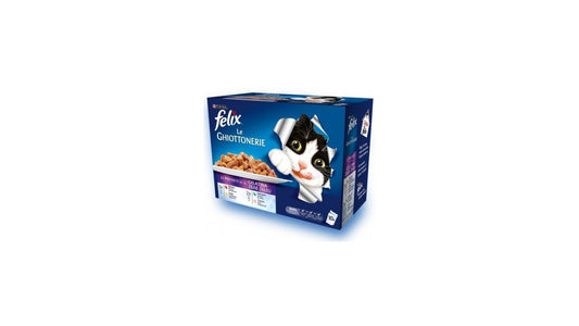 Felix Pouch Le Ghiottonerie Gatto Con Manzo, Pollo, Salmone e Pollo x10